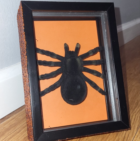 Spider shadow box - Picture 1 of 2